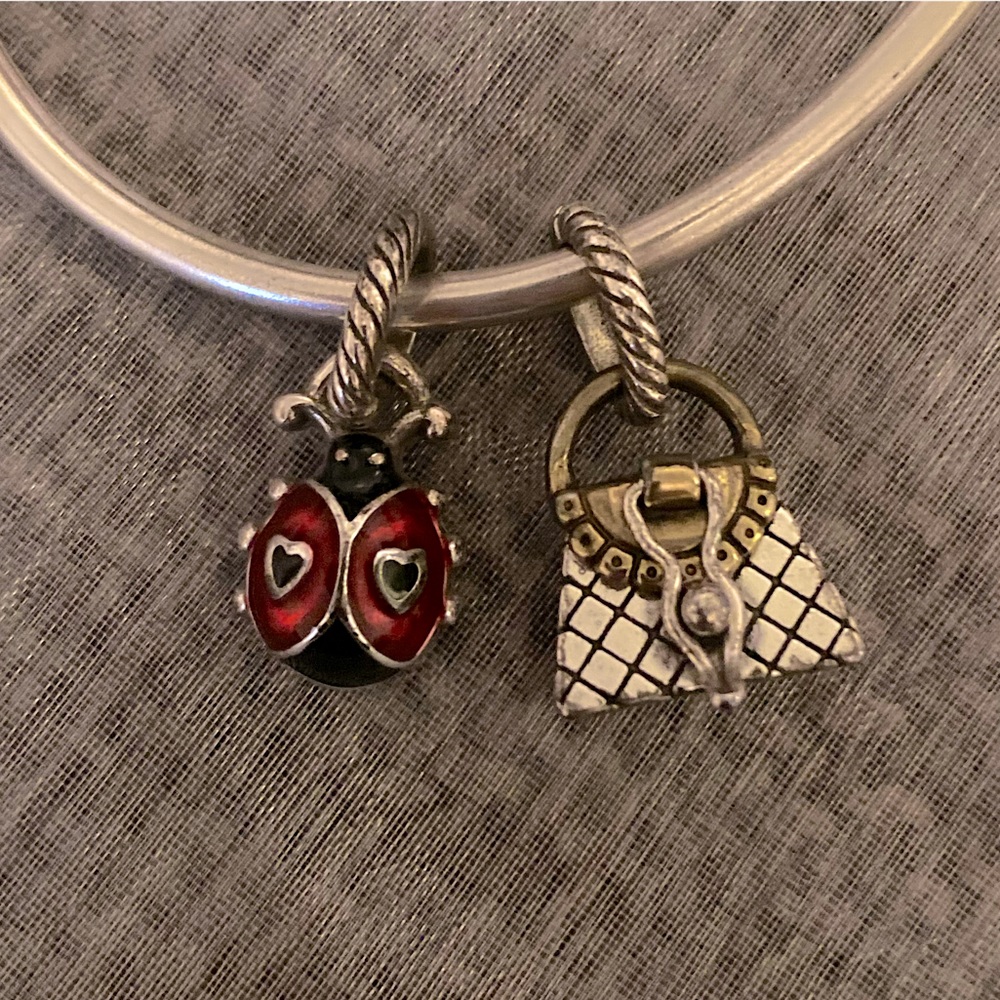 ✨🐞(2) PANDORA Bracelet Charms✨🛍